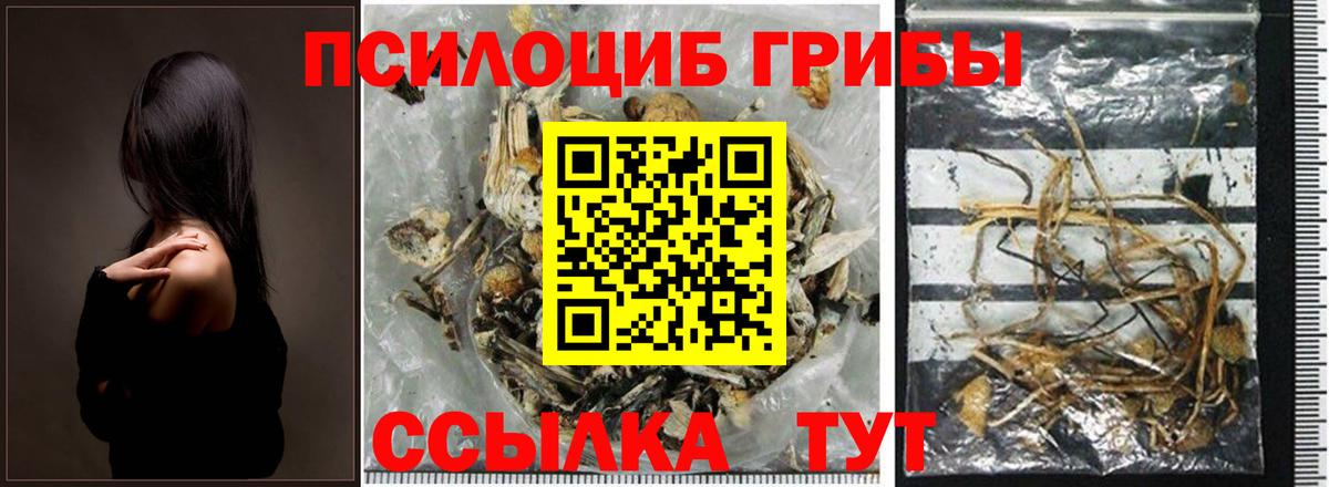 Псилоцибиновые грибы мицелий Саратов